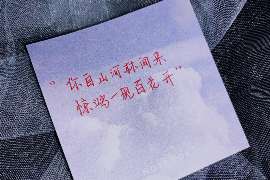 朝阳婚姻调查：无效或者被撤销的婚姻的法律后果